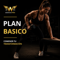 PLAN BASICO