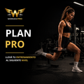 PLAN PRO